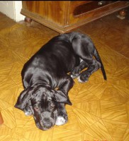 /album/fotky-cyril/image008-jpg8/