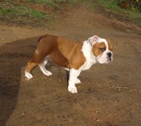 /album/fotky-shermann/dsc08842-jpg/