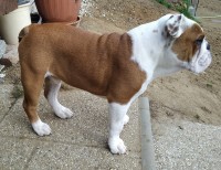 /album/fotky-shermann/img-20230219-171342-ii-jpg/