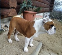 /album/fotky-shermann/img-20230219-171419-ii-jpg/