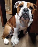 /album/fotky-shermann/img-20230330-175429-ii-jpg/