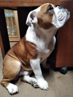 /album/fotky-shermann/img-20230330-180457-ii-jpg/