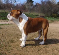 /album/fotky-shermann/dsc09199-ii-jpg/