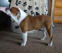 /album/fotky-shermann/dsc09237-ii-jpg/