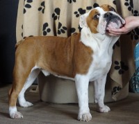 /album/fotky-shermann/dsc09274-jpg/