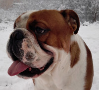 /album/fotky-shermann/img-20241206-152604-1-jpg/