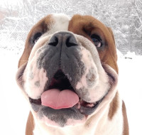 /album/fotky-shermann/img-20241206-152633-1-jpg/