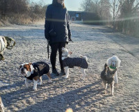 /album/foto8/419536099-369817285652307-7341669996598468344-n-jpg/