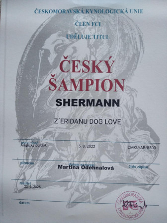 Český šampion